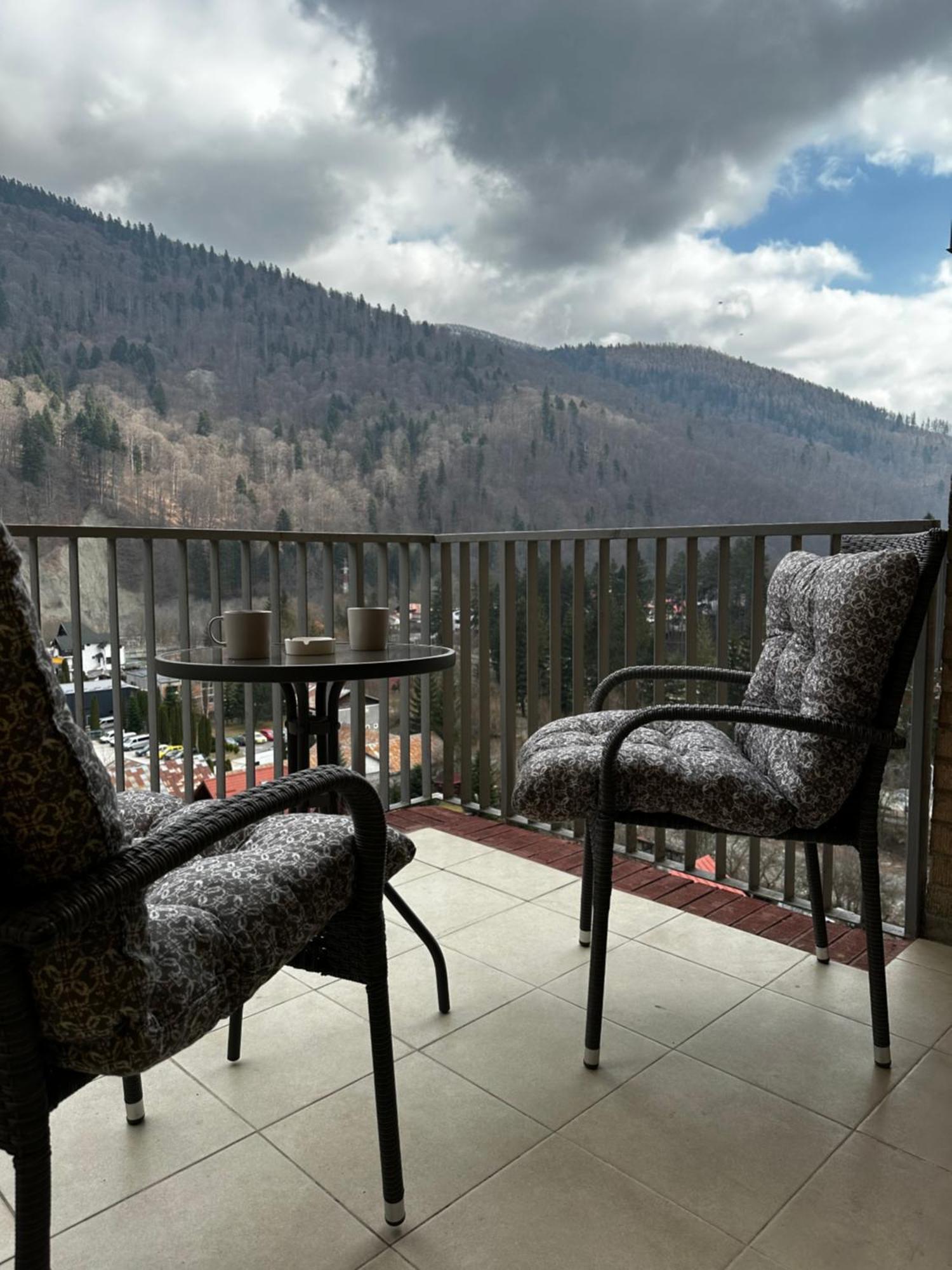 Colette Studio Belleview Sinaia Extérieur photo