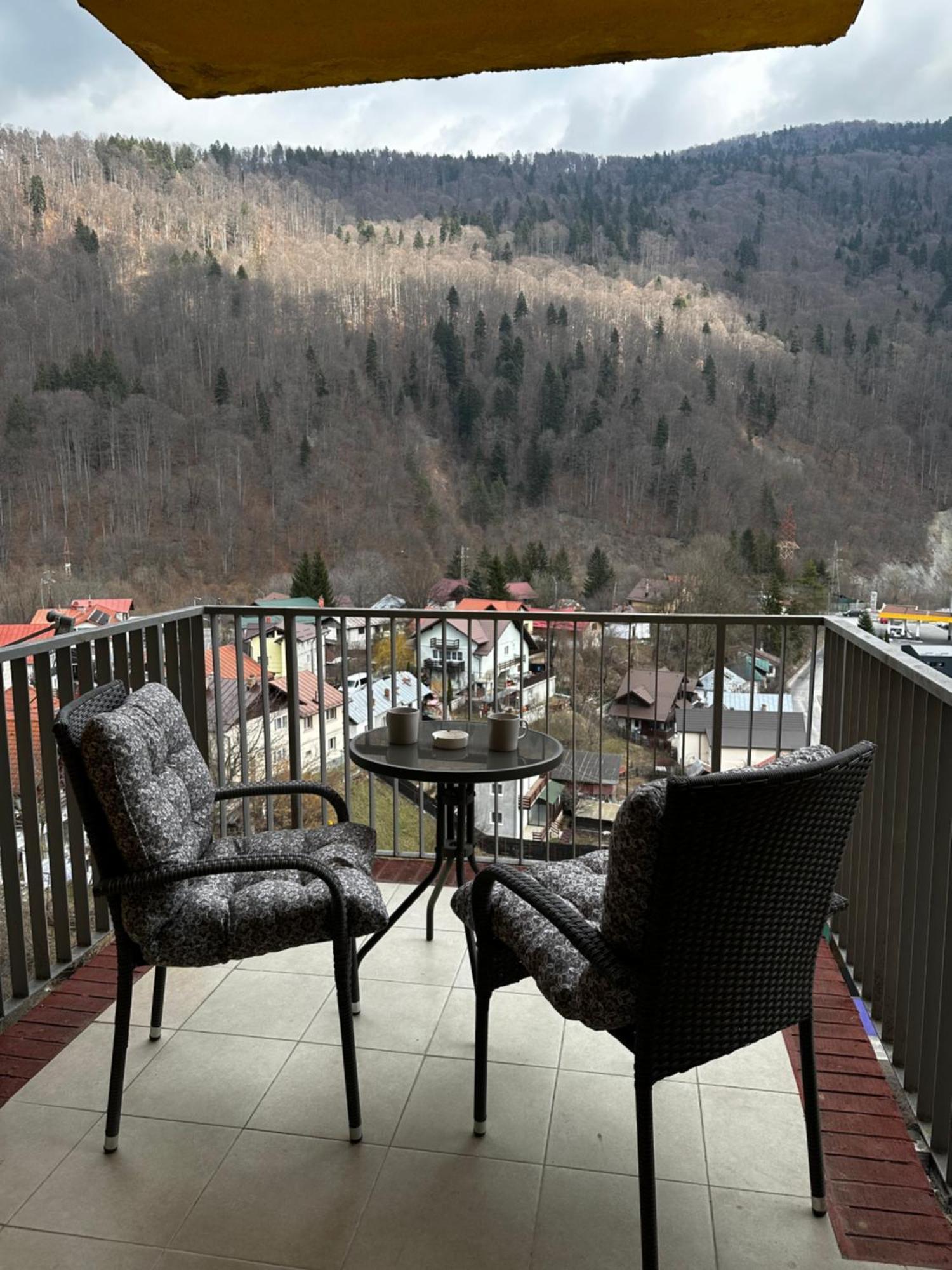 Colette Studio Belleview Sinaia Extérieur photo